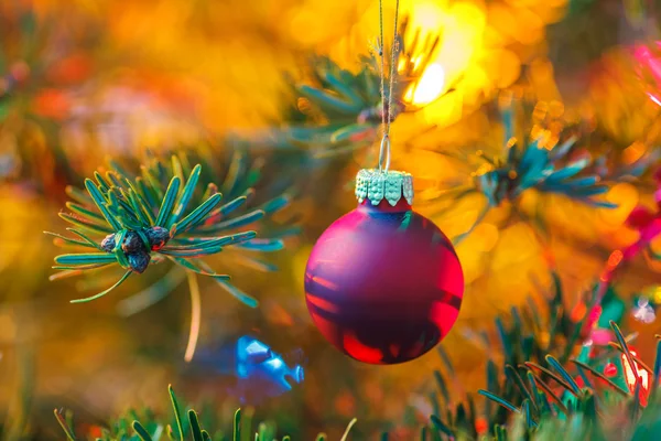 Geschmückter Weihnachtsbaum — Stockfoto