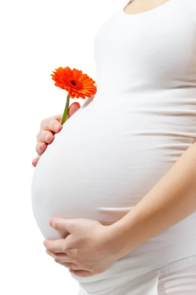 Pregnant woman touching her belly — Stock Photo, Image