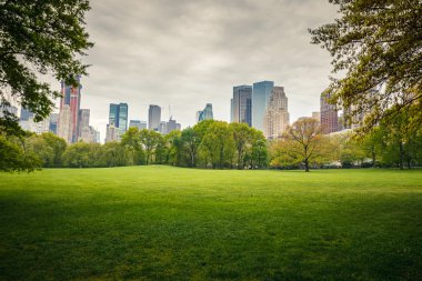 Central park at rainy day clipart