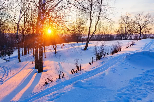 Sunset in winter park — Stock Image Sunset in winter park Stock Picture