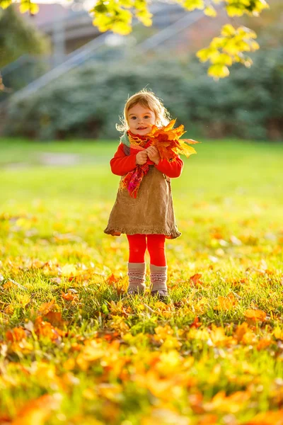 Liten flicka i parken — Stockfoto