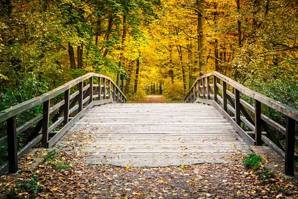 在秋天公园桥 — 图库照片