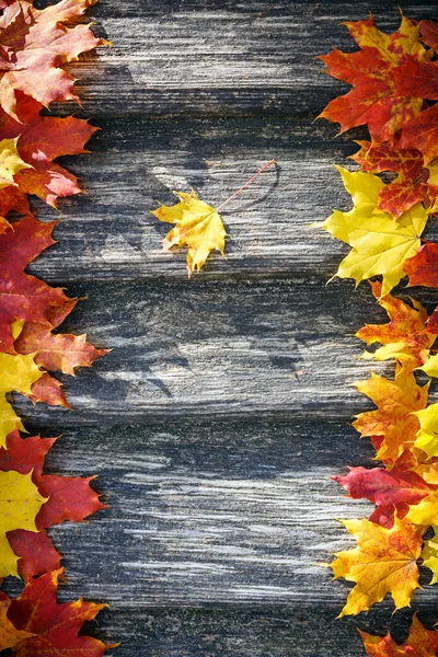 Herfst achtergrond — Stockfoto