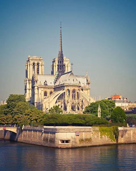 Notre Dame w Paryżu — Zdjęcie stockowe