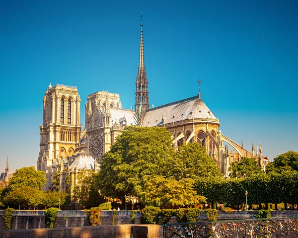 Notre dame de Paris — Stok fotoğraf