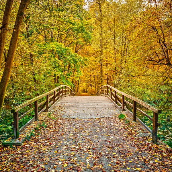 Puente en el parque de otoño —  Fotos de Stock