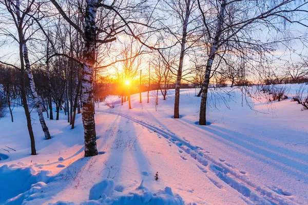 Kış Parkı 'nda gün batımı — Stok fotoğraf