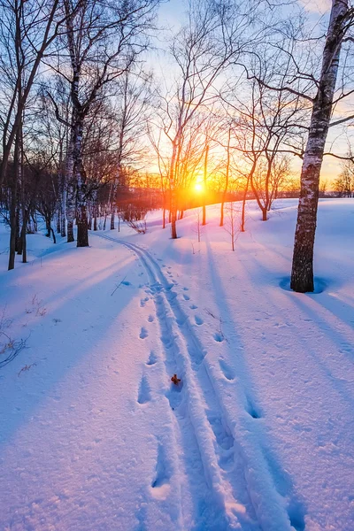 Wintersonnenuntergang — Stockfoto