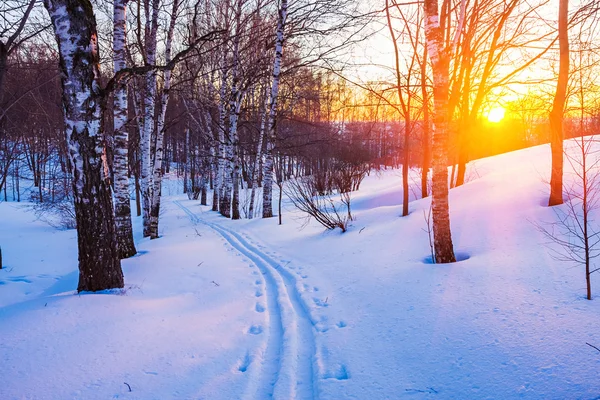 Winterzonsondergang — Stockfoto