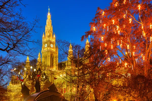 ウィーン市庁舎と公園 — ストック写真