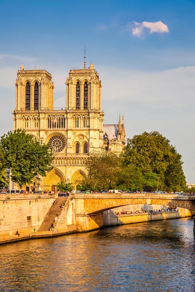 Notre dame de paris bij zonsondergang — Stockfoto