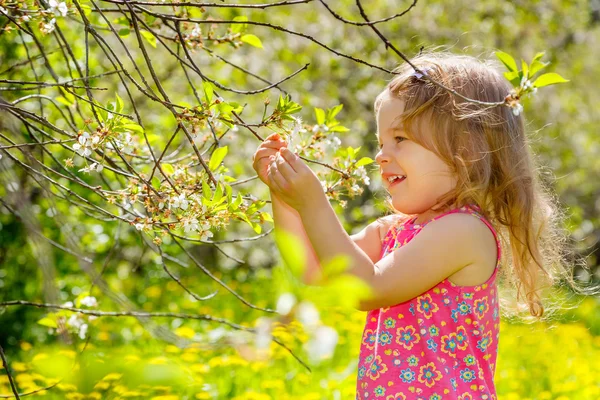 Liten flicka i parken — Stockfoto