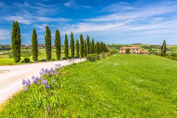 Toscane in het voorjaar — Stockfoto