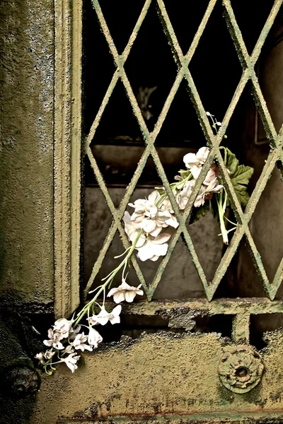 Memorial Flowers — Stock Photo, Image