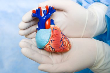 Doktorun elinde insan kalbi