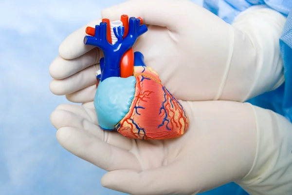 Corazón humano en manos del médico — Foto de Stock