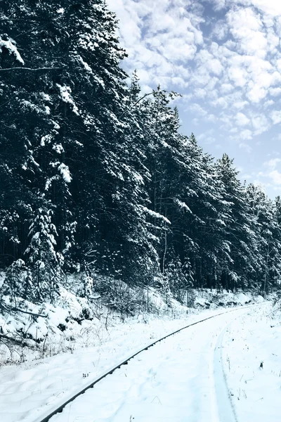 Železnice v lese sněhu — Stock fotografie
