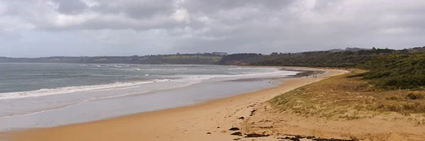 Панорама пляжа — стоковое фото
