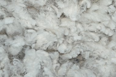 yıkanmış yün doku