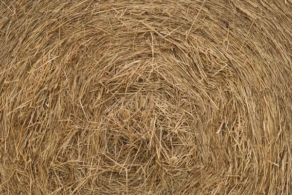 Rolling haystack texture — Stock Photo, Image