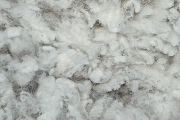 Washed wool texture — Stock Photo, Image