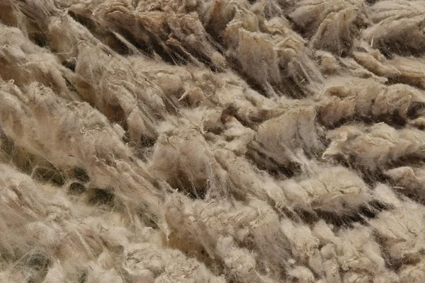Closeup to raw wool — Stock Photo, Image