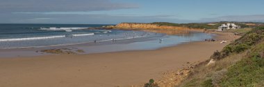 plaj panorama bir Torquay