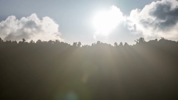 해질 녘에 숲의 실루엣 위로 내리쬐는 태양 광선 과 렌즈 플레어를 사용하여 일광욕을 즐긴다 — 비디오