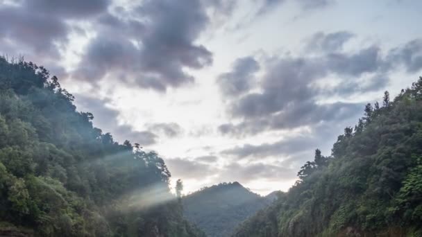 Nuvens do céu à noite e luz do raio solar se movendo sobre a floresta primitiva na Nova Zelândia natureza selvagem lapso de tempo — Vídeo de Stock