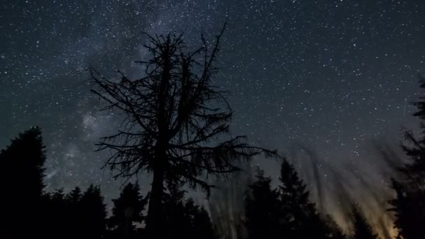 Sterren hemel met melkweg sterrenstelsel boven bomen bos silhouet in ster nacht zomer natuur Astronomie Tijd verstrijken — Stockvideo