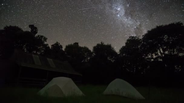 Gwiazdy z Drogą Mleczną galaktyka nad obozem leśnym na gwiaździstym nocnym niebie w Nowej Zelandii dziki krajobraz przyrody Czas upływa — Wideo stockowe