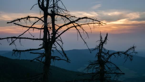 Mattina cielo sopra vecchi alberi silhouette in montagna natura paesaggio time lapse — Video Stock