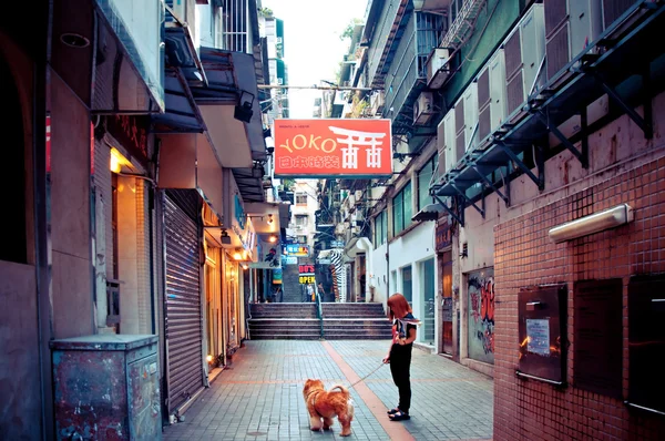 Pessoa com cão em rua estreita em Macau — Fotografia de Stock