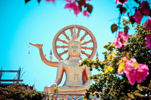 Grande estátua de buddha em koh samui, Tailândia — Fotografia de Stock