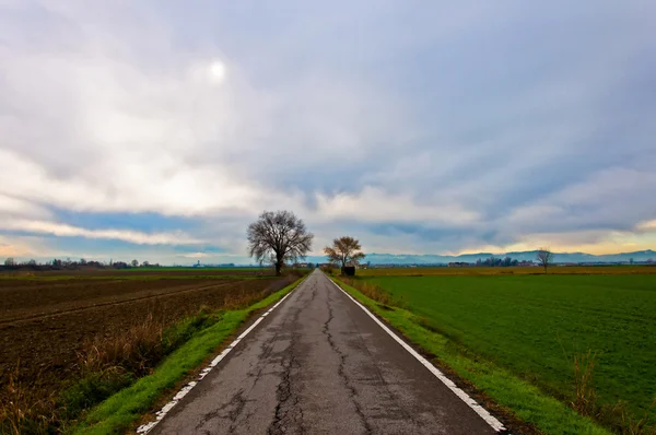 Straight road in Italian Po valley — Stock Photo, Image