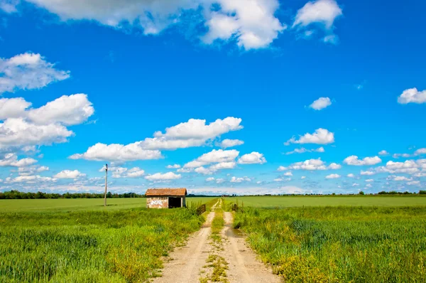 Rural road and shed in italian Po valley — Stock Photo, Image