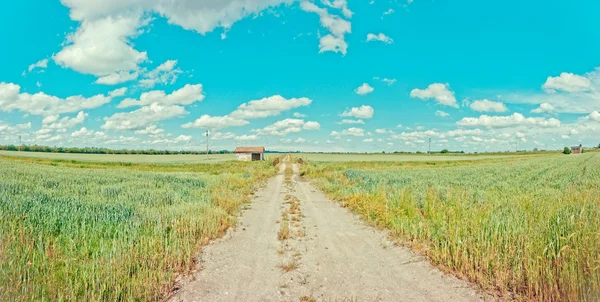 Vidéki road és a fészer-olasz Po-völgyben — Stock Fotó