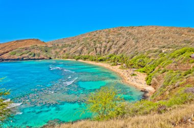 Dalış cenneti hanauma bay, oahu, hawaii