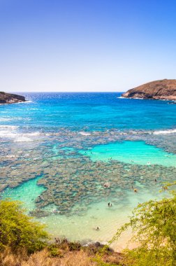 Dalış cenneti hanauma bay, oahu, hawaii