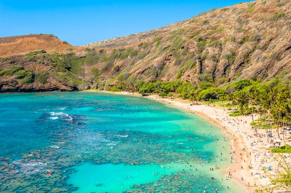 Paradis de plongée avec tuba Baie de Hanauma, Oahu, Hawaï — Photo