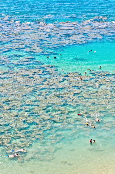 Підводним плаванням рай hanauma-Бей, Оаху, Гавайські острови — стокове фото
