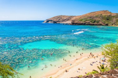 Dalış cenneti hanauma bay, oahu, hawaii