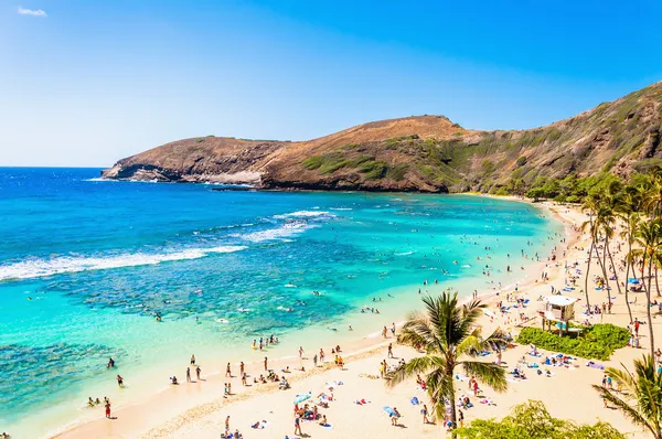 Snorkling paradise hanauma bay, oahu, hawaii Royaltyfria Stockbilder