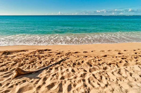 Spiaggia di Haena nell'isola di Kauai, Hawaii — Foto Stock