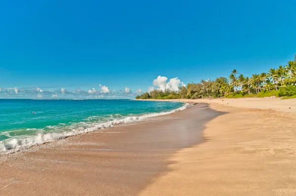 Plage de Haena sur l'île de Kauai, Hawaï Images De Stock Libres De Droits