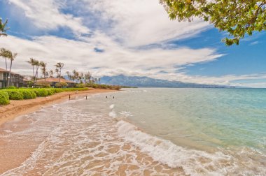 Spreckelsville beach, Maui, hawaii ünlü turizm