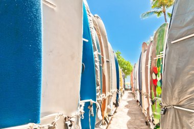 meşhur waikiki Plajı'nda rafa dizilmiş surfboards