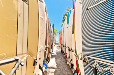 meşhur waikiki Plajı'nda rafa dizilmiş surfboards