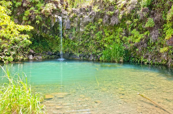 Jarní krmení bazén na cestě k Hana - Maui — Stock fotografie