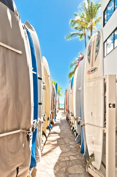 Surfplanken opgesteld in het rack in het wereldberoemde waikiki beach — Stockfoto
